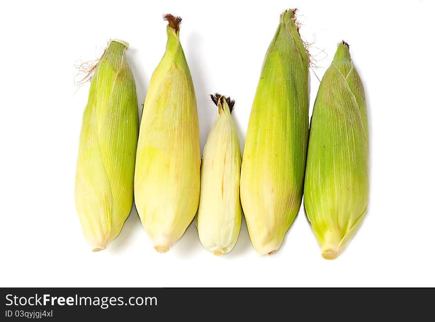 Family of corns