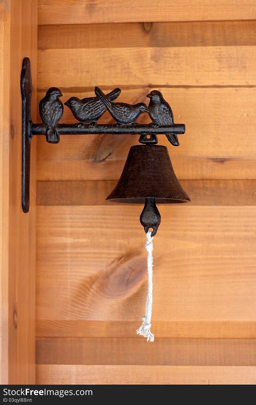 Birds On The Doorbell