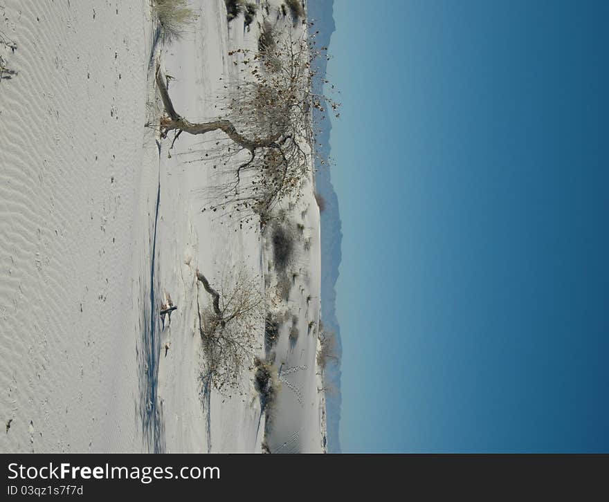 White Sands