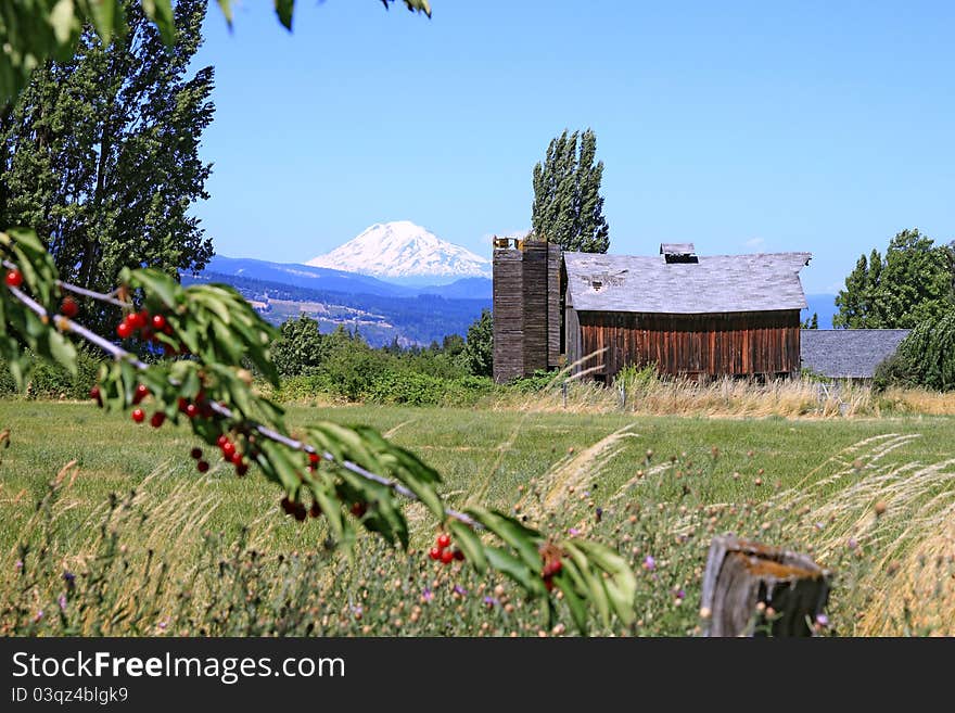 Mount Adams with Red Barn