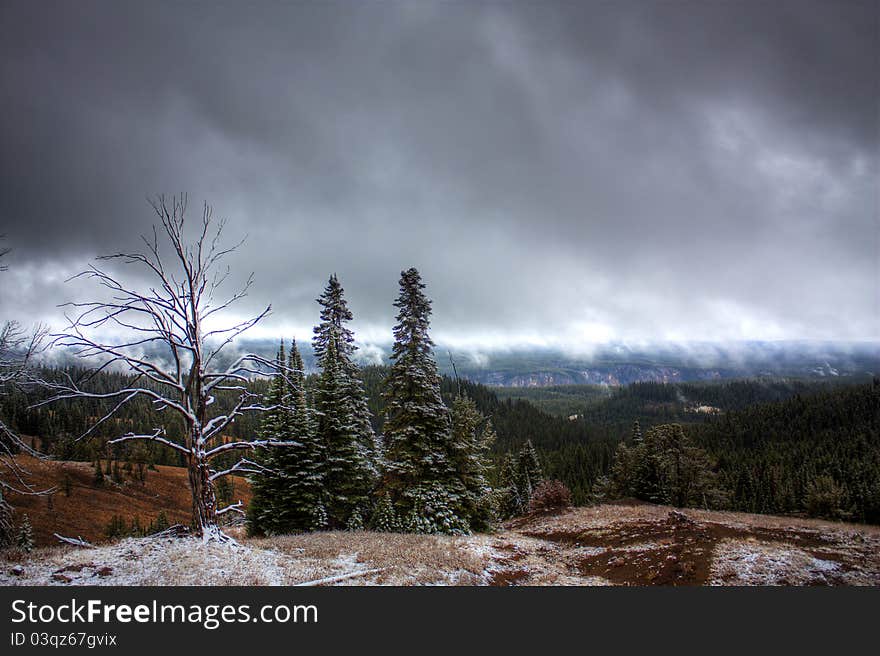 This photograph was taken within Yellowstone National Park one cold and cloudy day. This photograph was taken within Yellowstone National Park one cold and cloudy day.