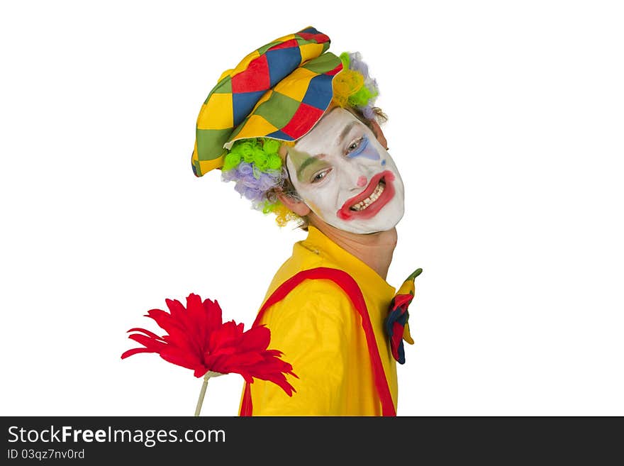 Colorful Clown