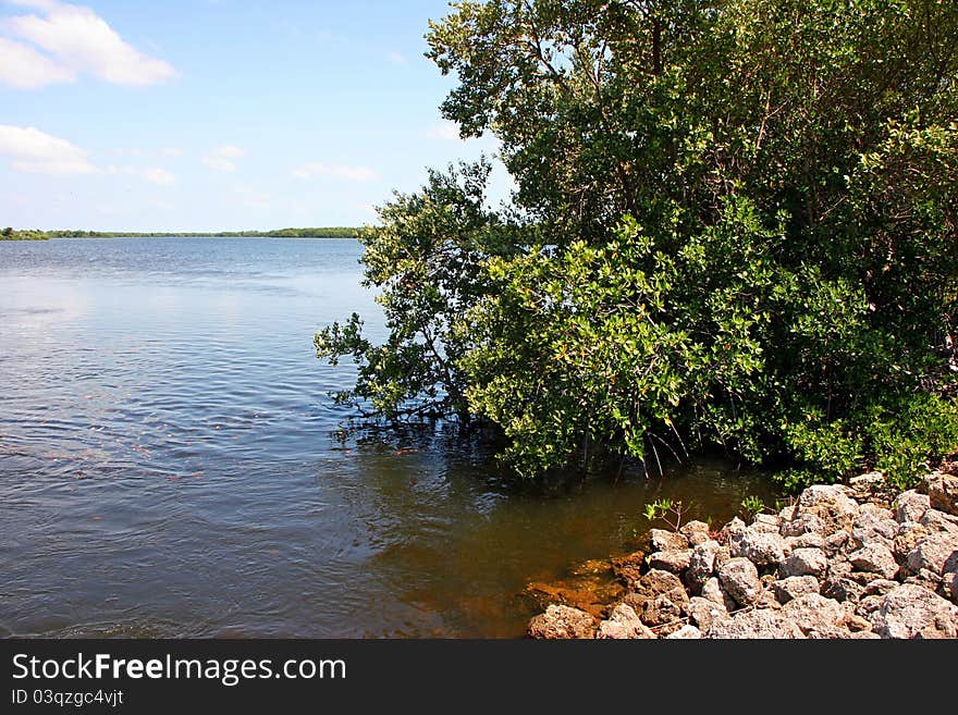 Scenic Landscape Ding Darling Wildlife Refuge Florida