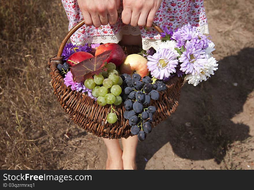 Fruit Basket.