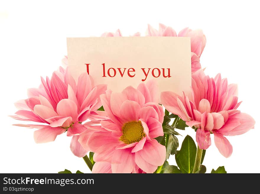 A bouquet of beautiful red flowers on a white background