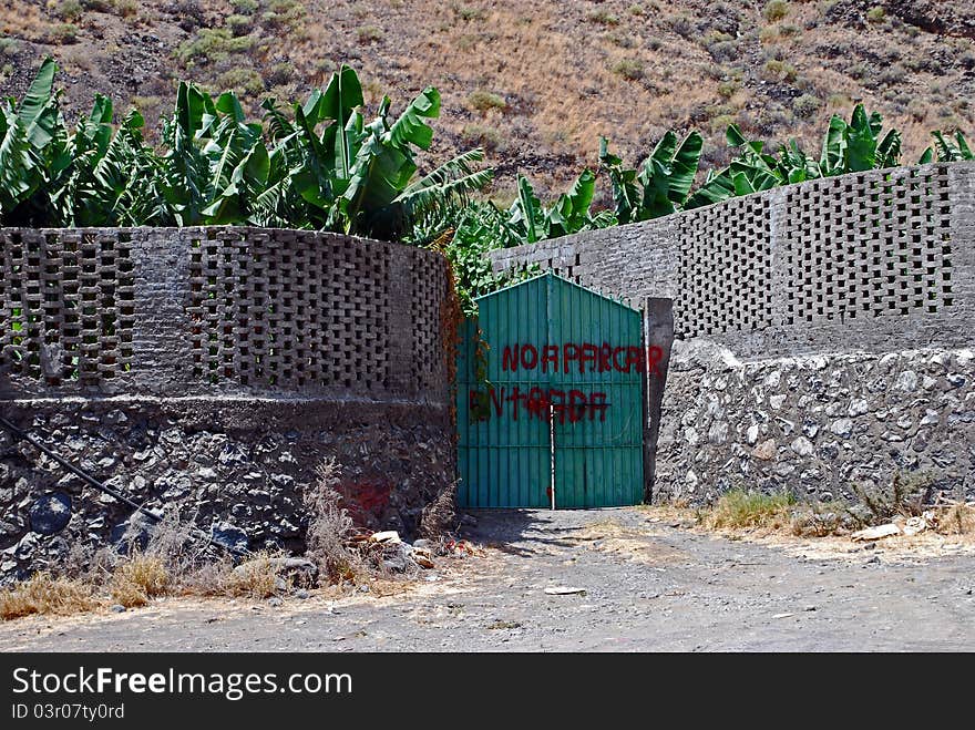 Bananas at Puerto Tazacorte, La Palma. Bananas at Puerto Tazacorte, La Palma