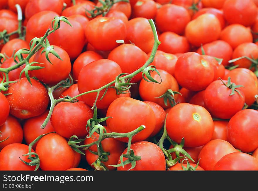 Close up of tomatoes