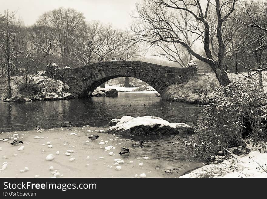 Gapstow Bridge - Central Park