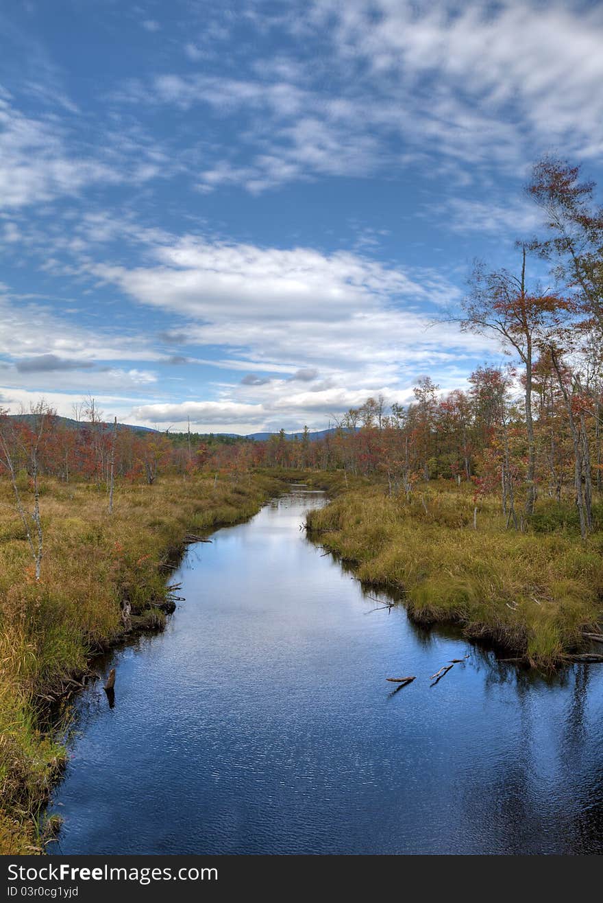 Autumn along stream in Maine