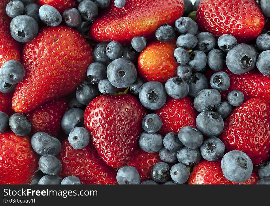 Garden strawberry, Fragaria ï¿½ ananassa with blueberries. Garden strawberry, Fragaria ï¿½ ananassa with blueberries