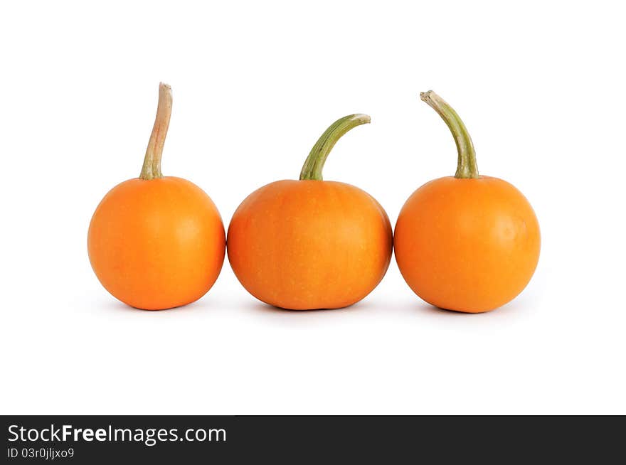 Three ordinary pumpkins standing in a row on white background. Isolated with clipping path. Three ordinary pumpkins standing in a row on white background. Isolated with clipping path