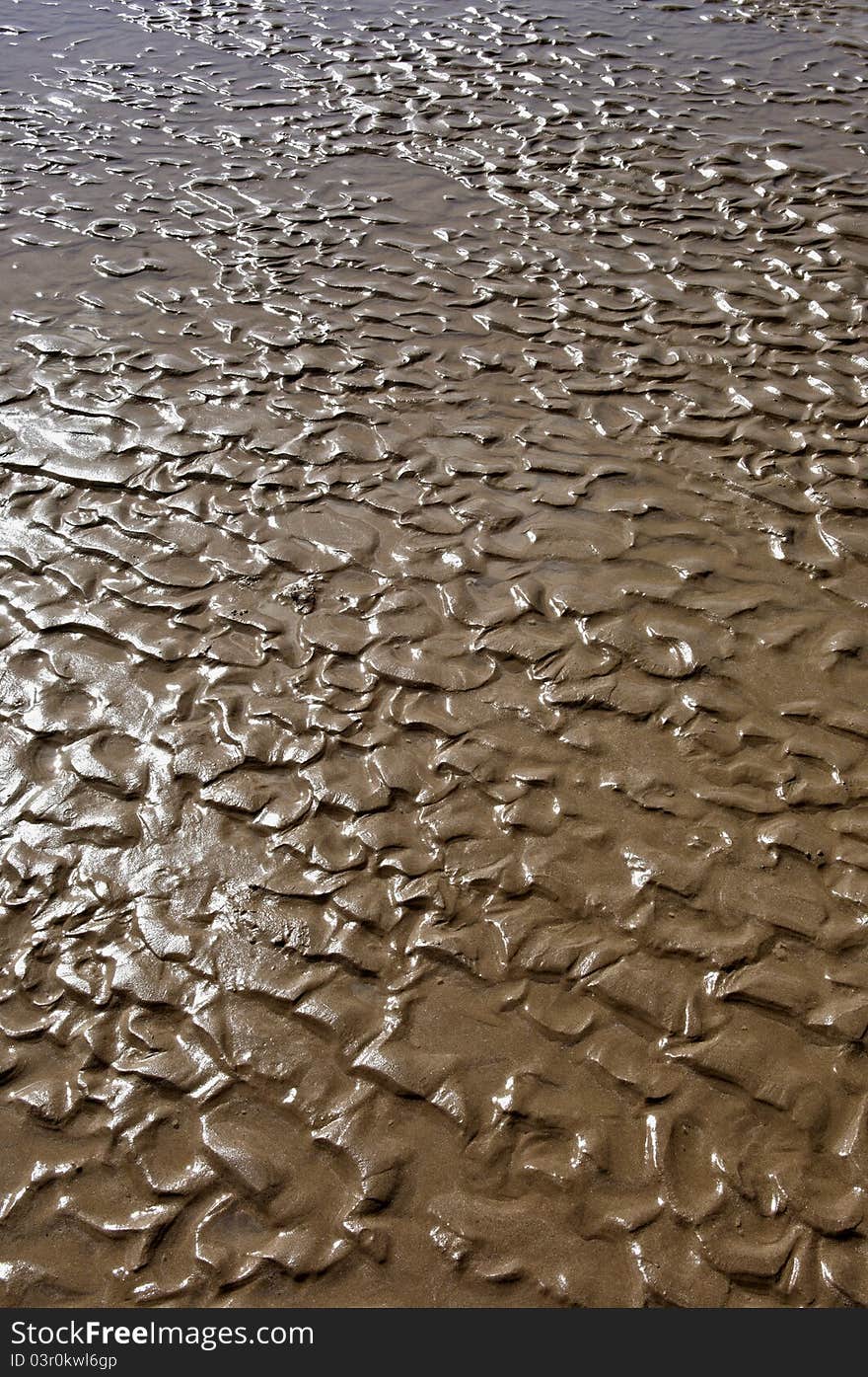 Abstract Background Texture of Wet Sand on a Beach