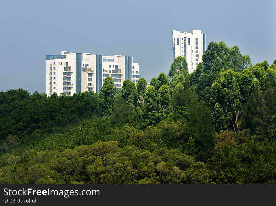 Building by the forest