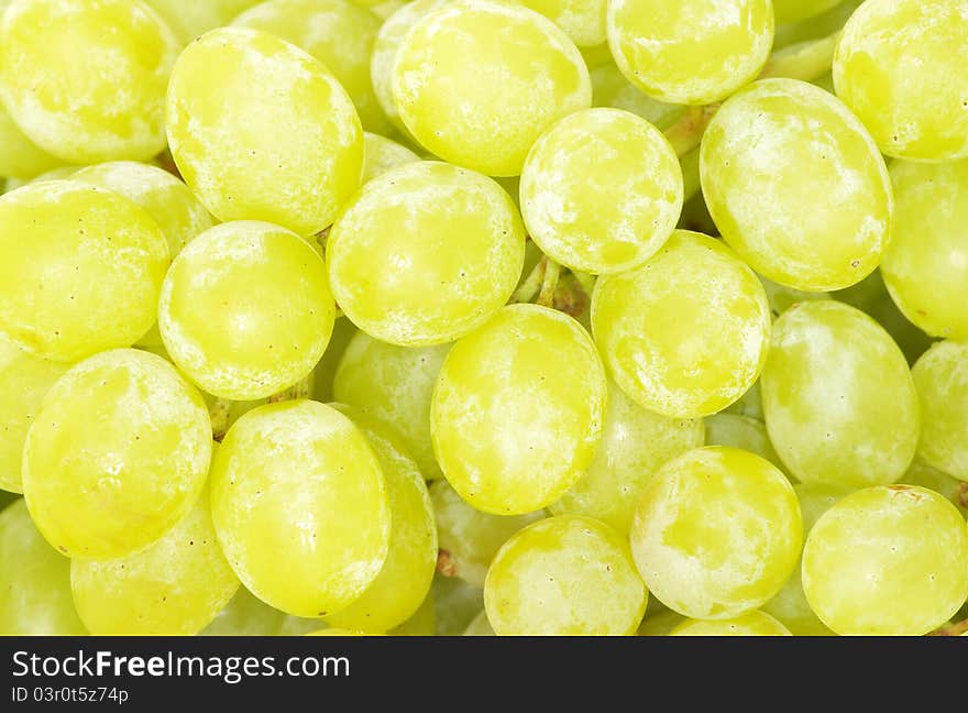 Bunch of grapes