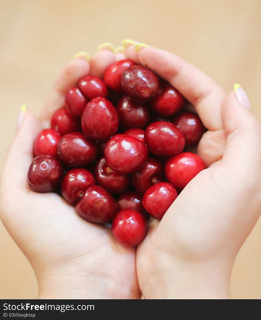 Cherry In The Hands