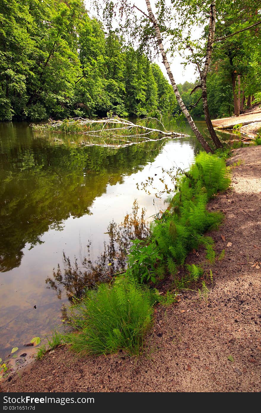 River with sandy coast and a green grass