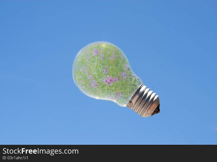 Light bulb with flower inside