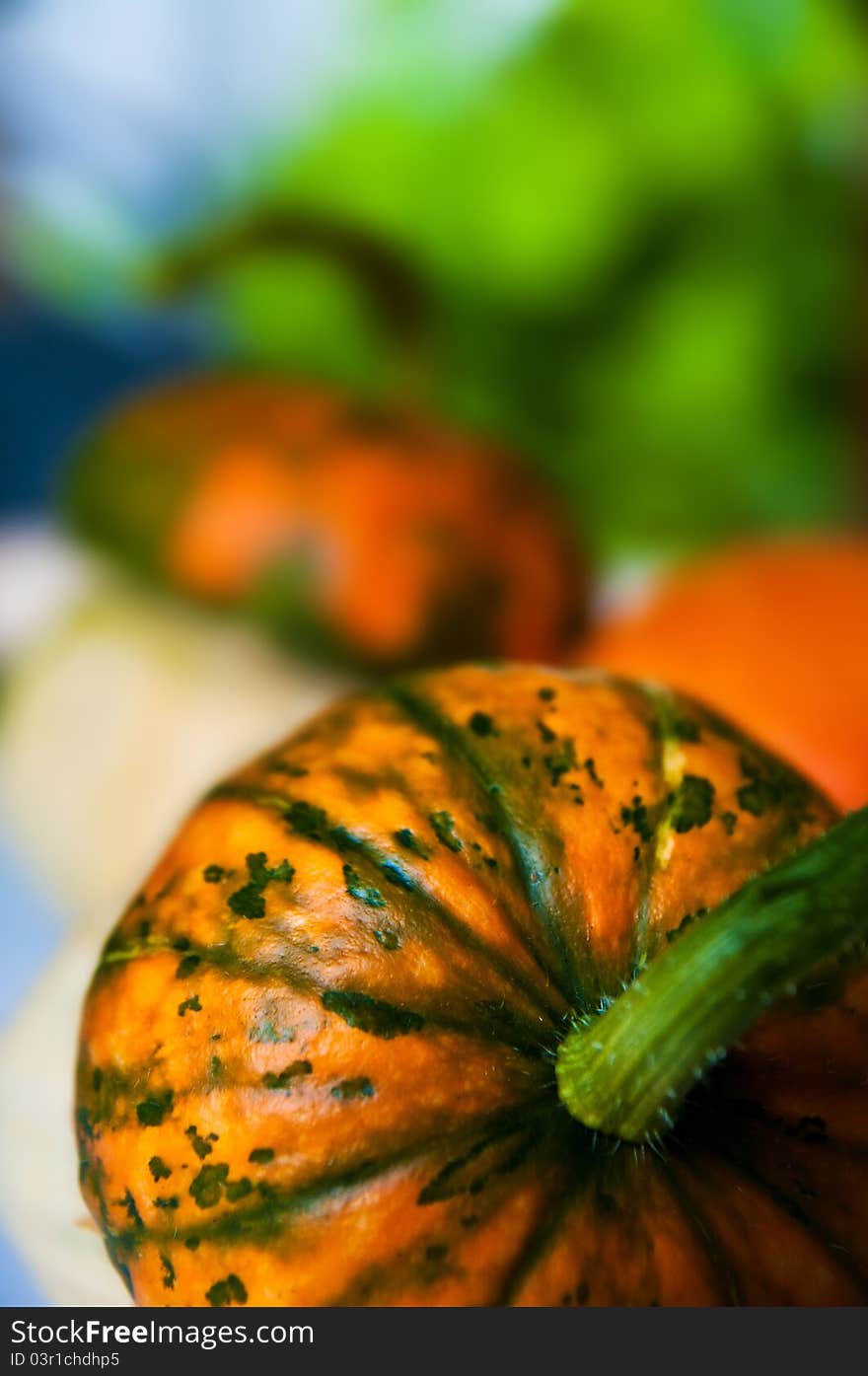 Beautiful decorative pumpkins on a soft background