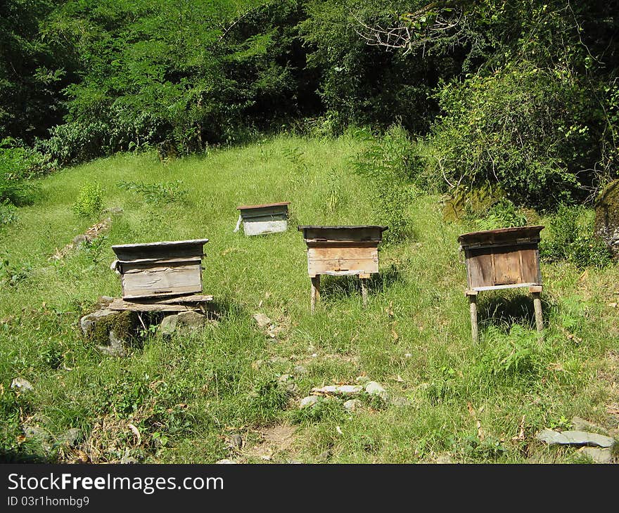 Apiary