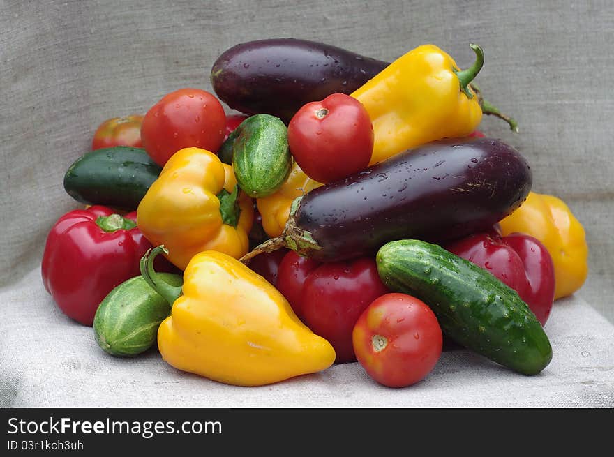 Still life from vegetables grown in a private economy. Excellent constituent of vegetarian feed