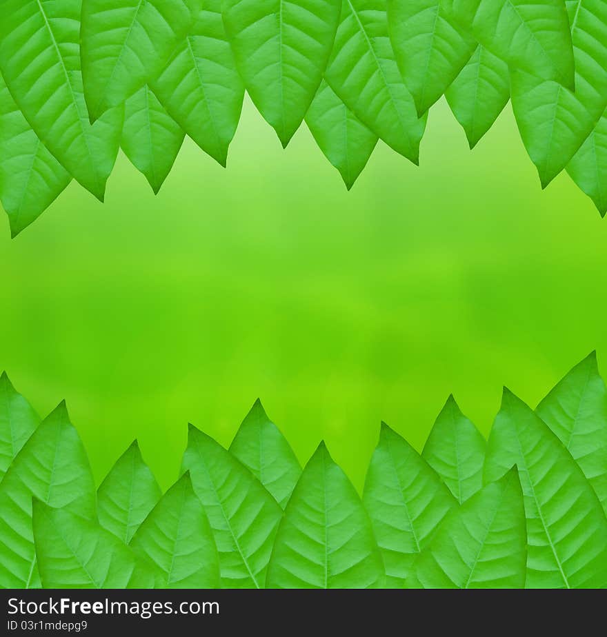 Green leaves over abstract background