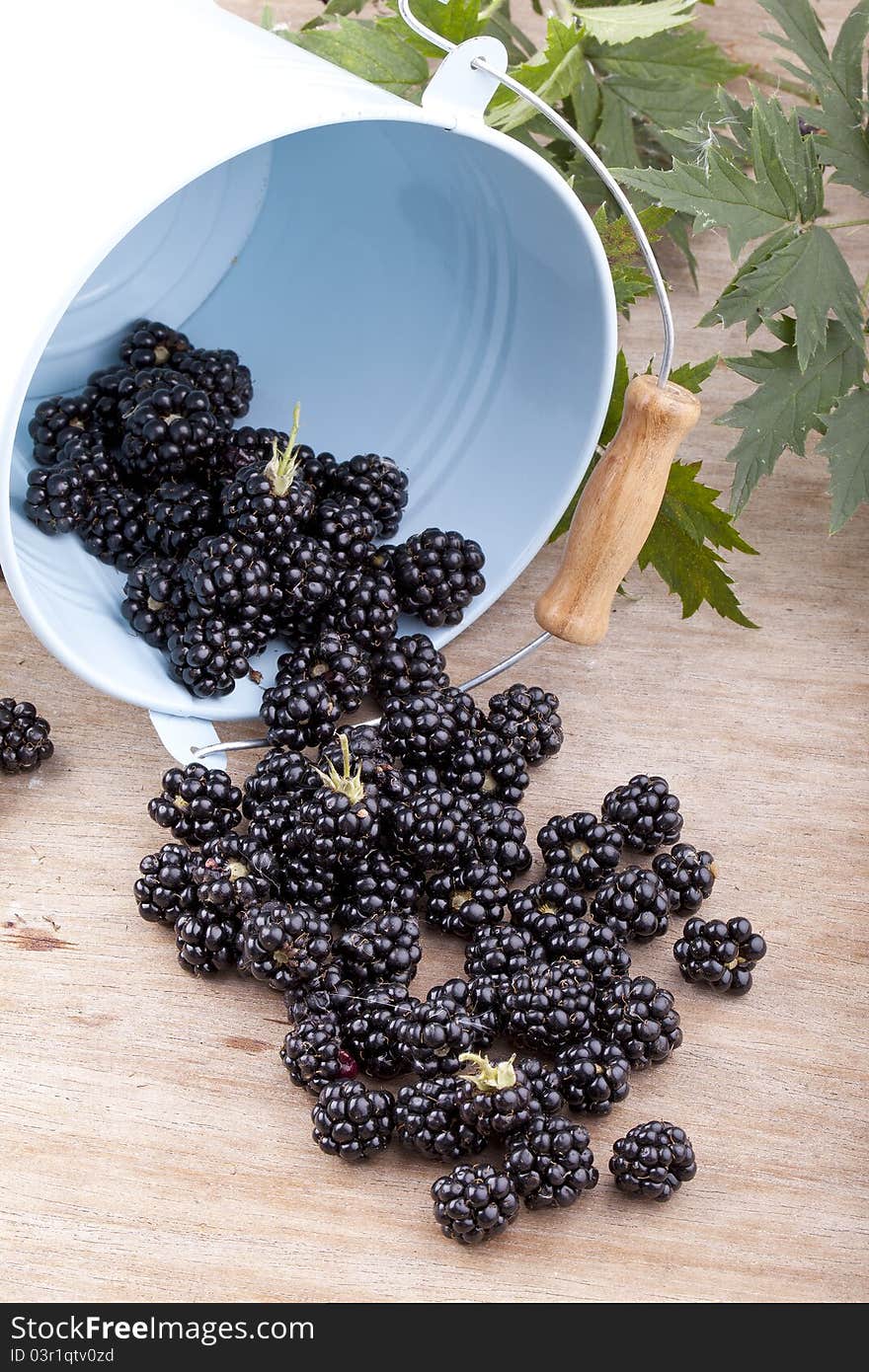 Studio-shot of blackberries in a bucket on a wooden table.