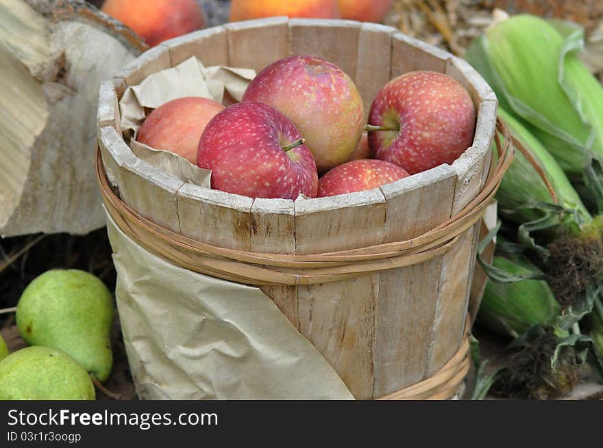 Fresh apples in small wooden barrel. Fresh apples in small wooden barrel