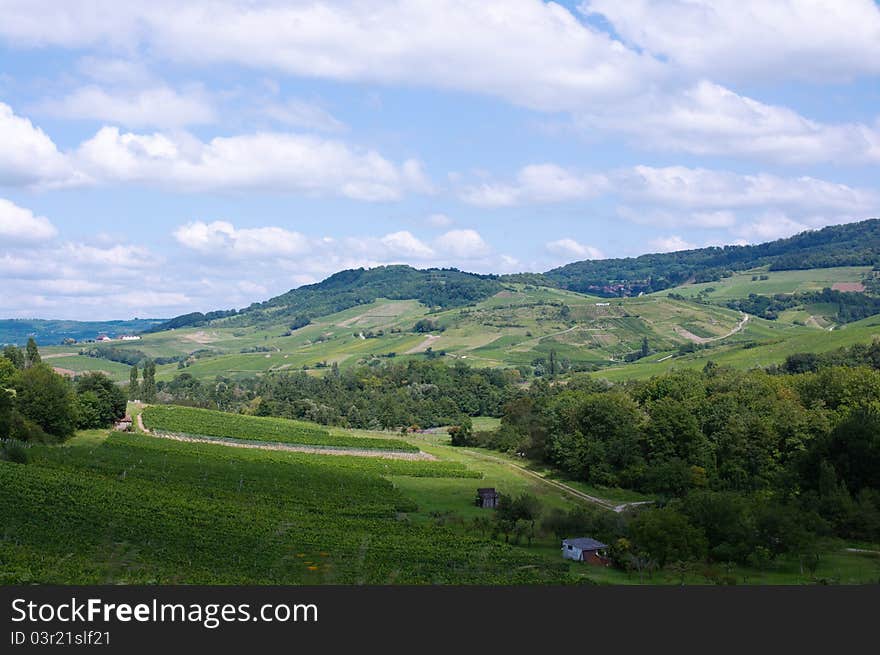 Rural Summer Landscape