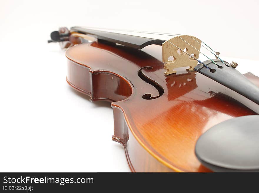 String instrument  violin on white background