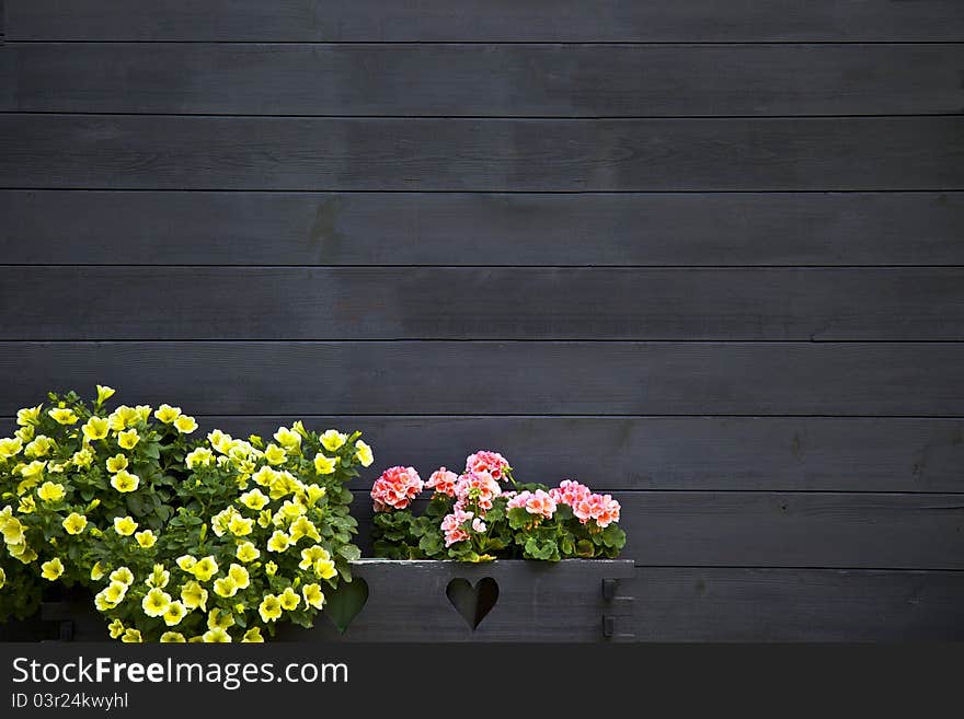 Dark Wooden Wall with Flowers of a Swiss House