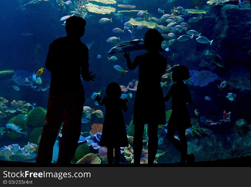 Family With Two Kids In Oceanarium