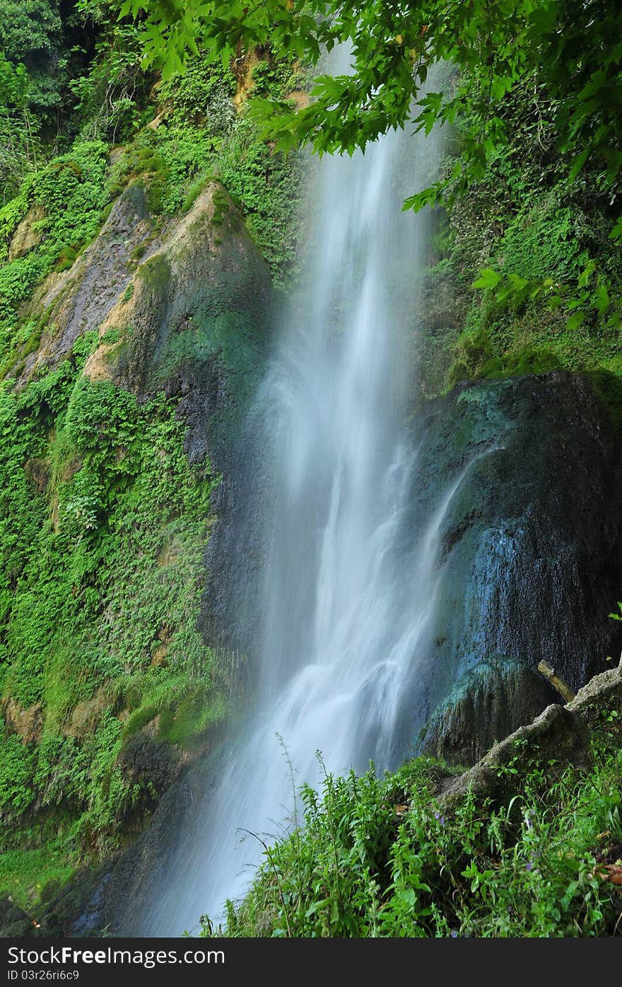 Waterfall and beauty green nature