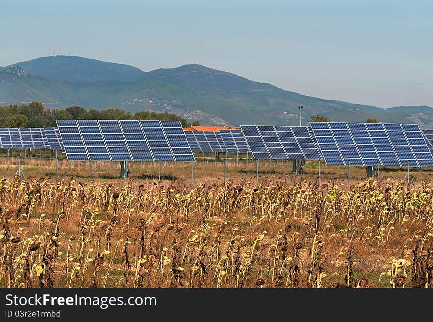 Photovoltaic panels in the country and field of sunflowers