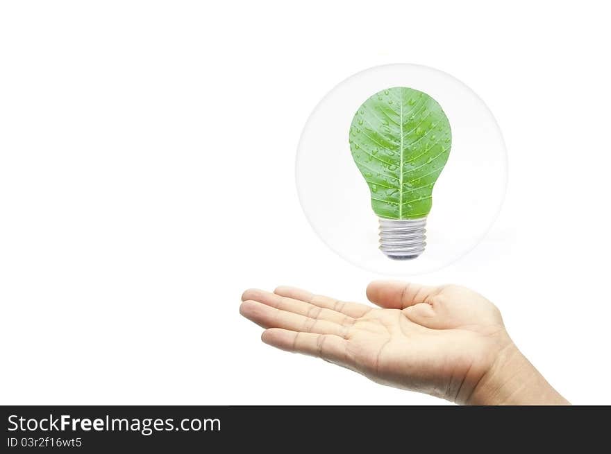 Green energy concept hand with leaf in bubbles as white isolate background