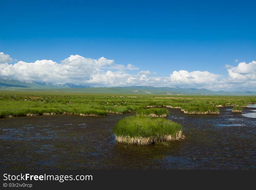 Huahu lake and plateau wetland, it is the beautiful natural scenery of qinghai-tibet plateau, Gansu China. Qinghai-tibet plateau is the highest and biggest plateau in the world. Huahu lake and plateau wetland, it is the beautiful natural scenery of qinghai-tibet plateau, Gansu China. Qinghai-tibet plateau is the highest and biggest plateau in the world.