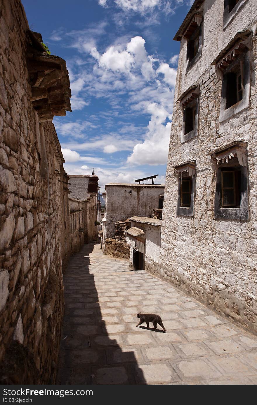 The Sera Monastery at the foot of Tatipu Hill is located in the northern suburb of Lhasa,It is one of three famous monasteries in Lhasa. The Sera Monastery at the foot of Tatipu Hill is located in the northern suburb of Lhasa,It is one of three famous monasteries in Lhasa