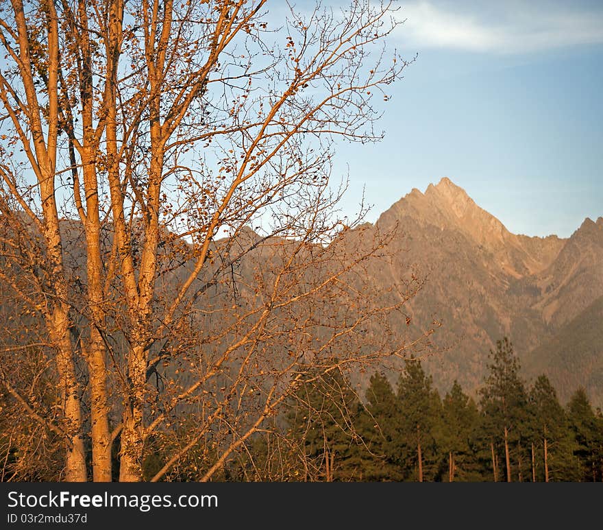 Canadian Rockies and Mt. Fisher. Canadian Rockies and Mt. Fisher