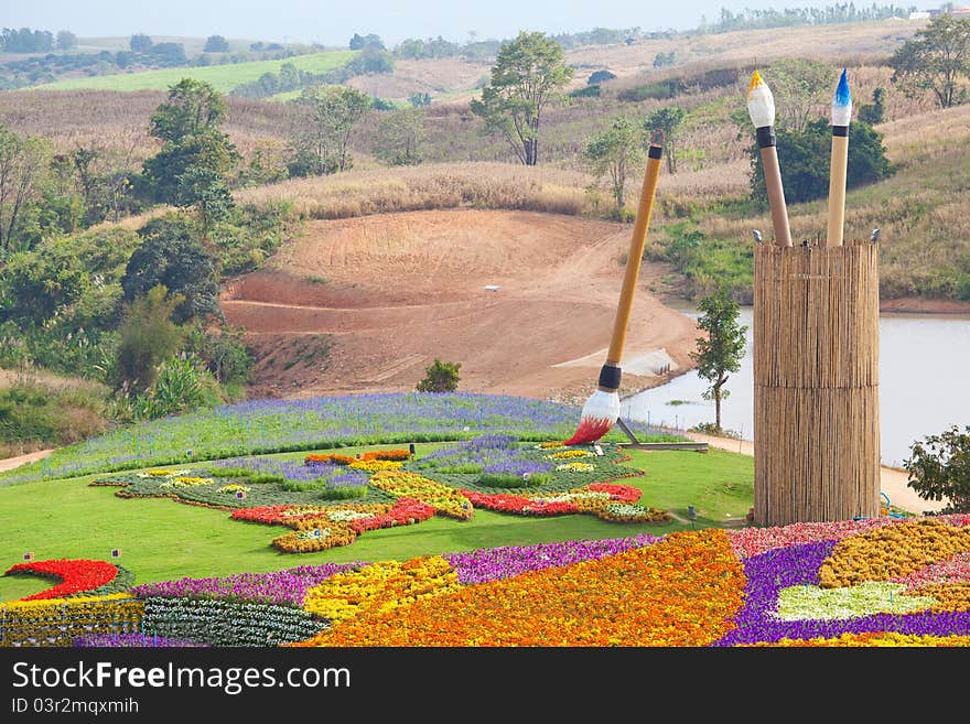 Field of flower on mountain in Thailand