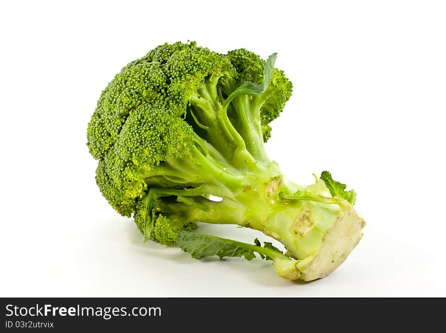 A green broccoli isolated on white background