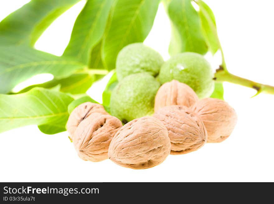 Yellow mature walnuts, together with about still green nuts (focus on the foreground - the first nut, on a light background, small depth of sharpness)