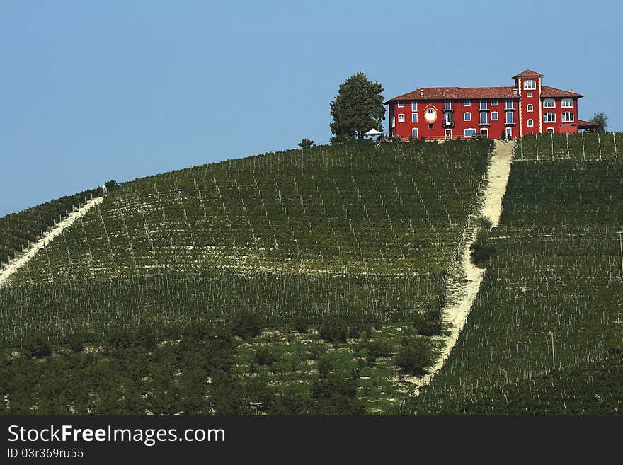 View of a farm in the vineyards in the Langhe in Piedmont