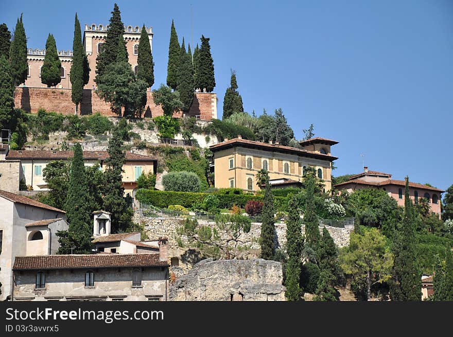 Trees and buildings on the hill