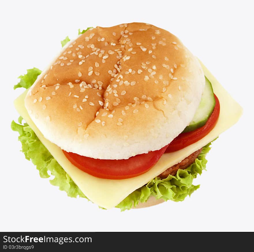 Hamburger isolated.