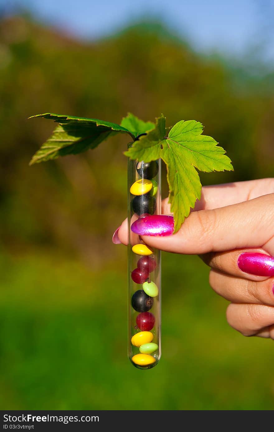 Test Tube With Tablets, Berries And Plant