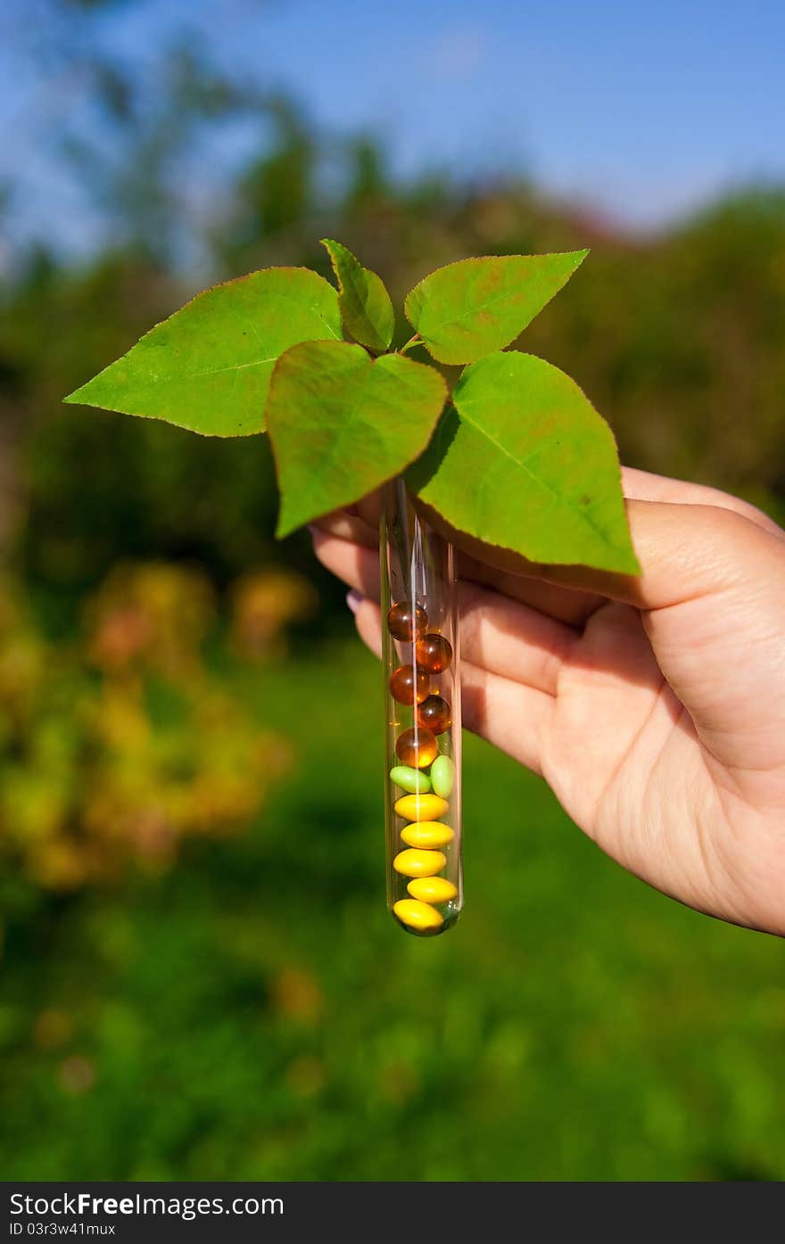 Test Tube With Tablets, Berries And Plant