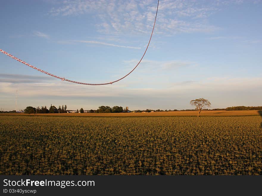 Balloon Landing in Farmers Field