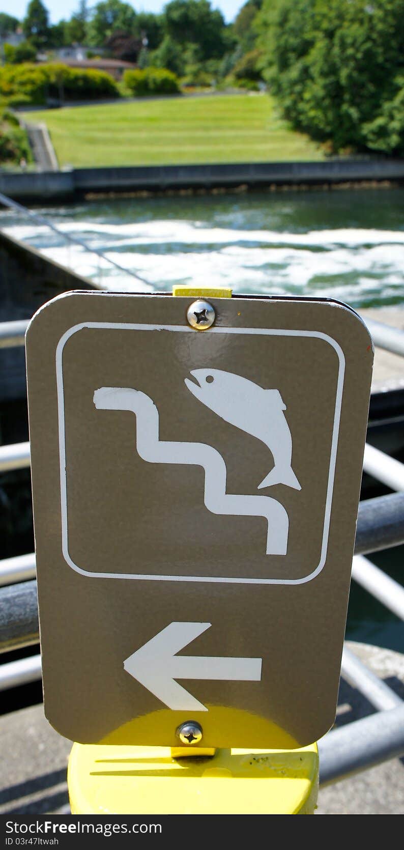 Fish Ladder Sign In A Park