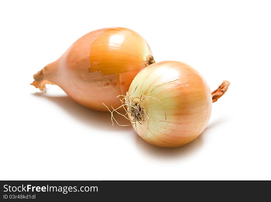 Two Yellow Onions