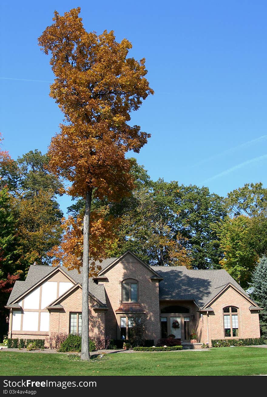 Autumn colors with house