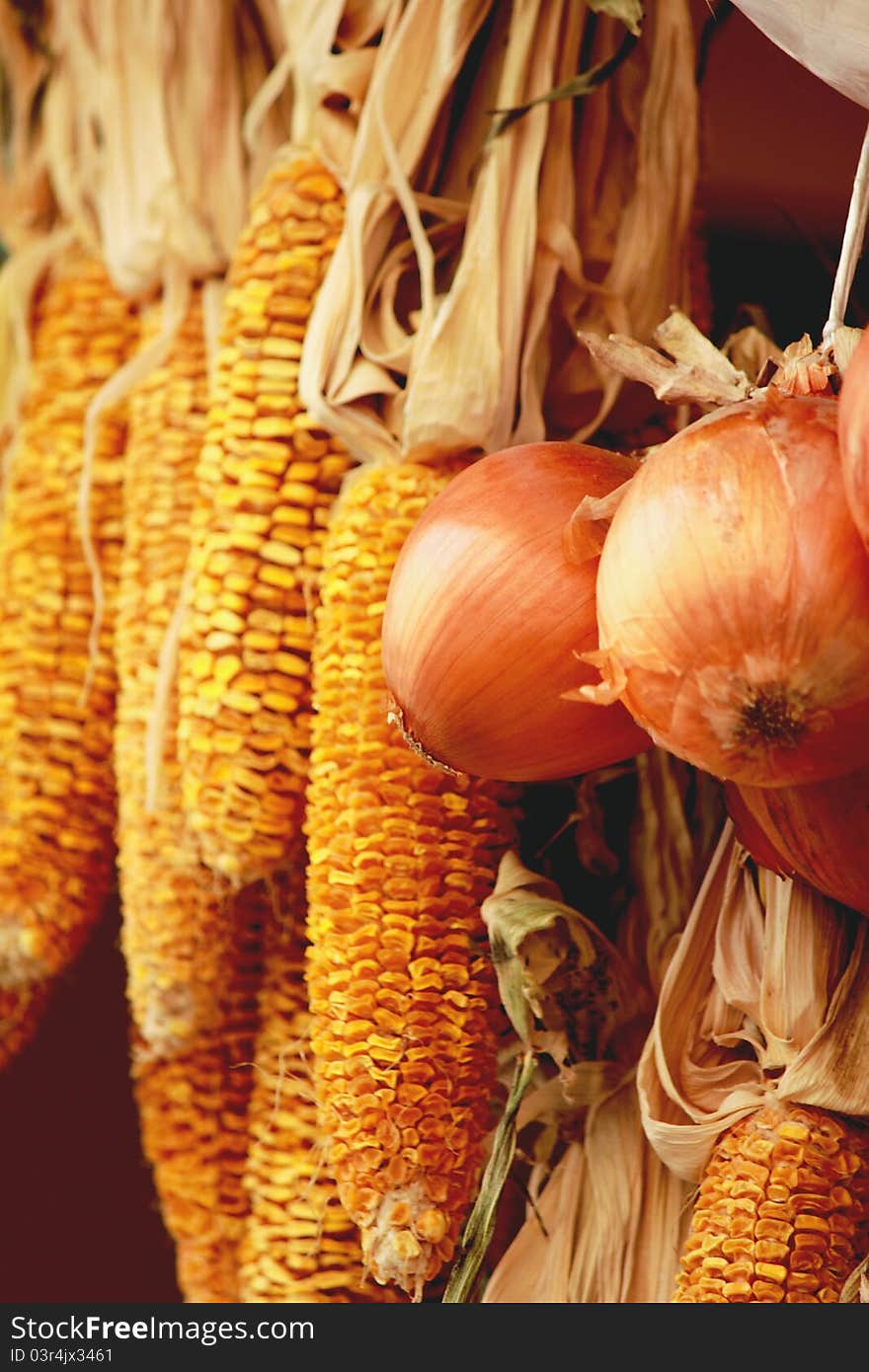 Dry corn and onion, close up shot.